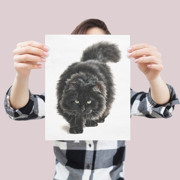 Watercolor Siberian Black Cat Art Print Illustartion - Pet Portrait - Unframed - Picture 4 of 6